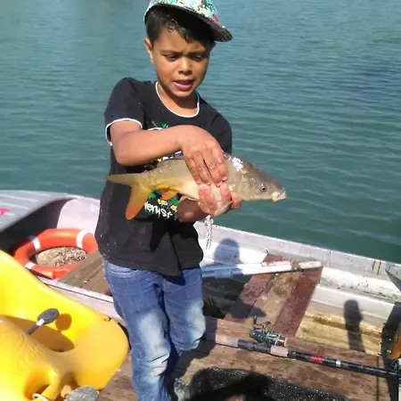 Ubytovanie Danube ゲストハウス Štúrovo